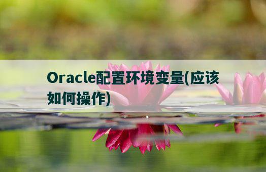 Oracle配置环境变量，应该如何操作-图1